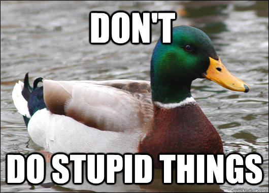DON'T DO STUPID THINGS  Actual Advice Mallard