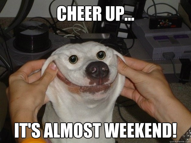 Cheer up... It's almost weekend! - Cheer up... It's almost weekend!  forced happy dog