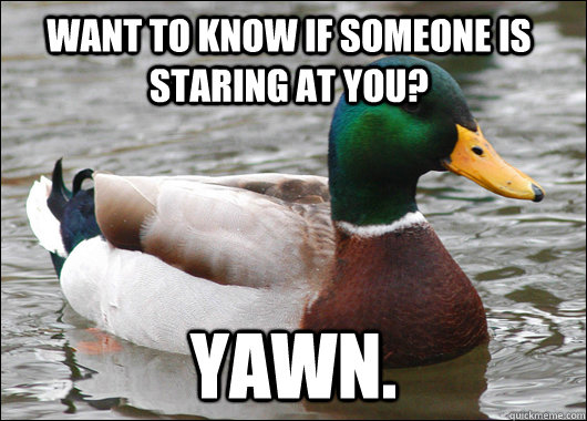 Want to know if someone is staring at you? Yawn. - Want to know if someone is staring at you? Yawn.  Actual Advice Mallard