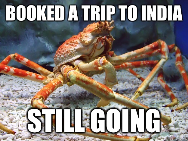 Booked a trip to India Still going - Booked a trip to India Still going  Irresponsible crab