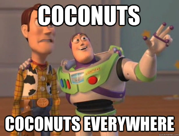 coconuts coconuts everywhere  toystory everywhere