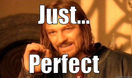 JUST... PERFECT Boromir