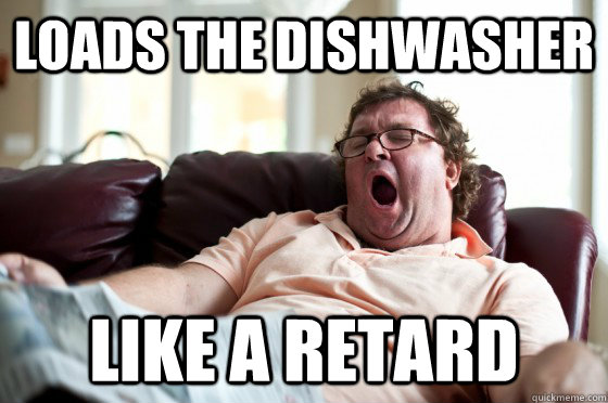 Loads the Dishwasher Like a Retard  Freeloader Roommate