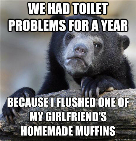 We had toilet problems for a year Because I flushed one of my girlfriend's homemade muffins  Confession Bear