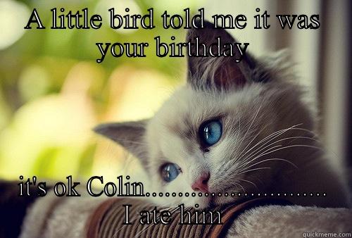 A LITTLE BIRD TOLD ME IT WAS YOUR BIRTHDAY IT'S OK COLIN............................ I ATE HIM First World Problems Cat