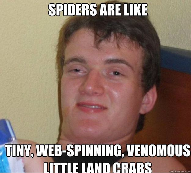 spiders are like tiny, web-spinning, venomous  little land crabs    10guy