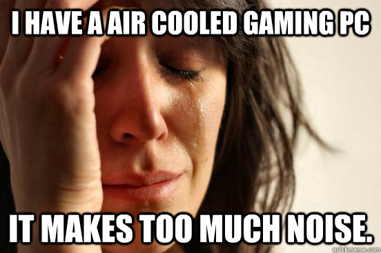 I have a air cooled gaming pc It makes too much noise.  First World Problems