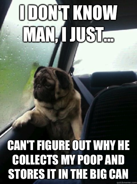 I don't know man, I just... Can't figure out why he collects my poop and stores it in the big can  Introspective Pug