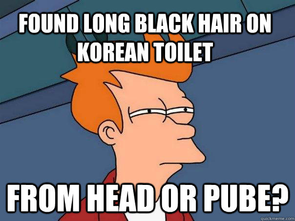 Found long black hair on Korean toilet From head or pube? Caption 3 goes here  Futurama Fry