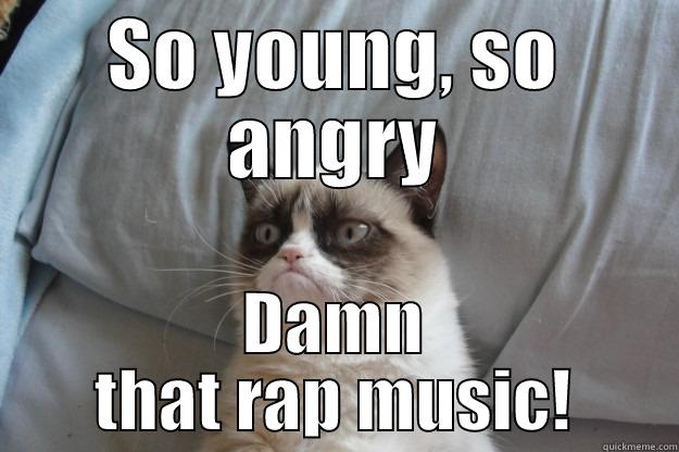 SO YOUNG, SO ANGRY DAMN THAT RAP MUSIC! Grumpy Cat