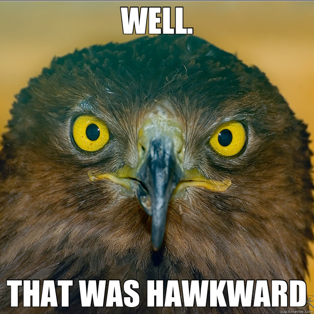 WELL. THAT WAS HAWKWARD - WELL. THAT WAS HAWKWARD  hawk