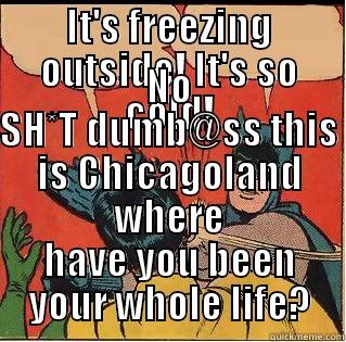 IT'S FREEZING OUTSIDE! IT'S SO COLD! NO SH*T DUMB@SS THIS IS CHICAGOLAND WHERE HAVE YOU BEEN YOUR WHOLE LIFE? Slappin Batman