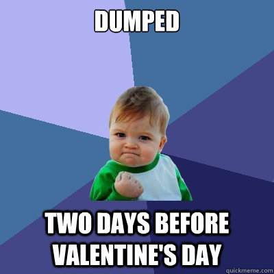 Dumped two days before Valentine's Day - Dumped two days before Valentine's Day  Success Kid