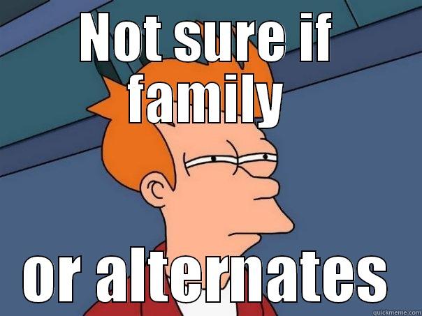 NOT SURE IF FAMILY OR ALTERNATES Futurama Fry