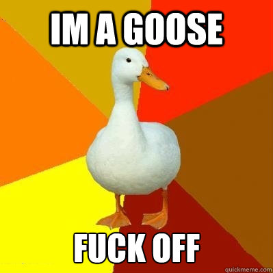 im a goose fuck off   Tech Impaired Duck