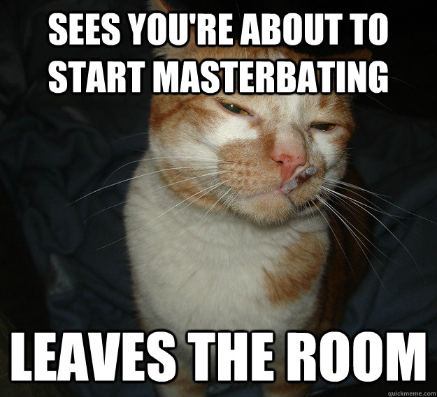 Sees you're about to start masterbating leaves the room  Cool Cat Craig