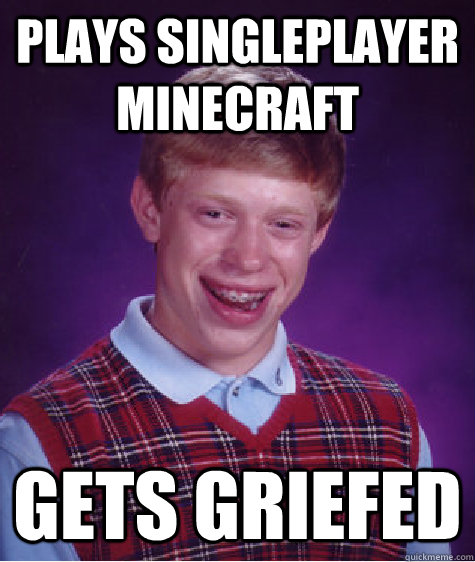 Plays singleplayer minecraft gets griefed - Plays singleplayer minecraft gets griefed  Bad Luck Brian