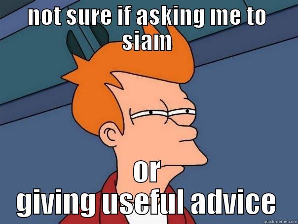 yeah just kidding - NOT SURE IF ASKING ME TO SIAM OR GIVING USEFUL ADVICE Futurama Fry