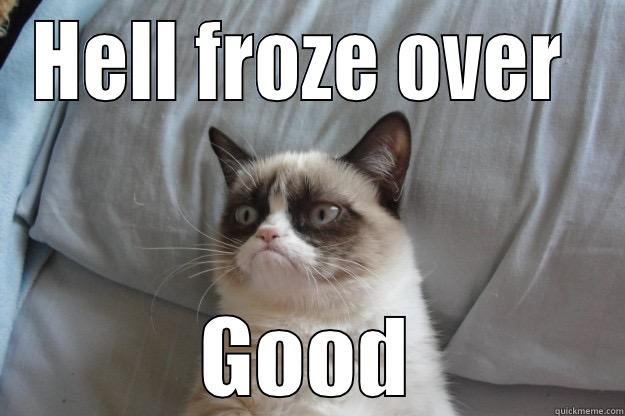 lol xd :D - HELL FROZE OVER  GOOD Grumpy Cat