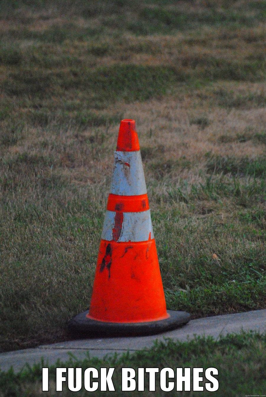 traffic cone -  I FUCK BITCHES Misc