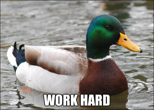  WOrk hard  Actual Advice Mallard