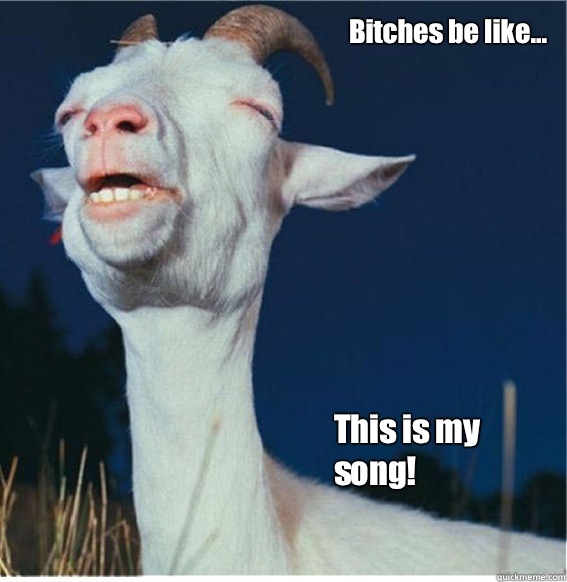 Bitches be like... This is my song!   