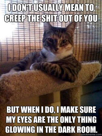 I don't usually mean to creep the shit out of you But when I do, i make sure my eyes are the only thing glowing in the dark room.  The Most Interesting Cat in the World