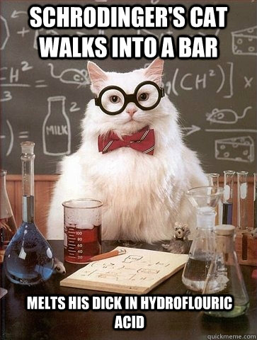 Schrodinger's Cat walks into a bar Melts his dick in Hydroflouric Acid  Chemistry Cat