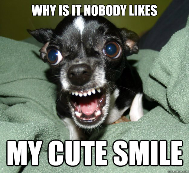 why is it nobody likes my cute smile  - why is it nobody likes my cute smile   Chihuahua Logic