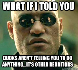 what if i told you ducks aren't telling you to do anything...it's other redditors - what if i told you ducks aren't telling you to do anything...it's other redditors  Matrix Morpheus