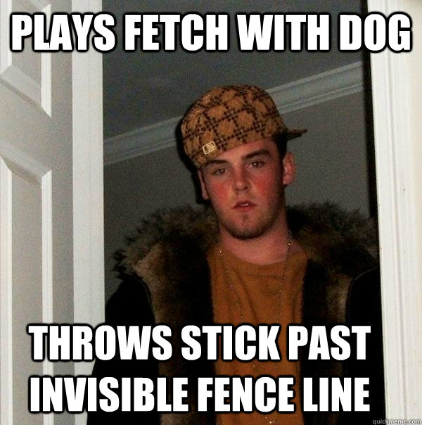 Plays fetch with dog Throws stick past invisible fence line - Plays fetch with dog Throws stick past invisible fence line  Scumbag Steve
