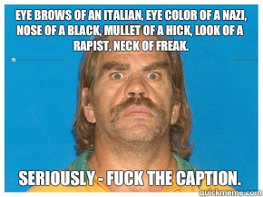 Eye brows of an italian, eye color of a nazi, nose of a black, mullet of a hick, look of a rapist, neck of freak. Seriously - fuck the caption.  