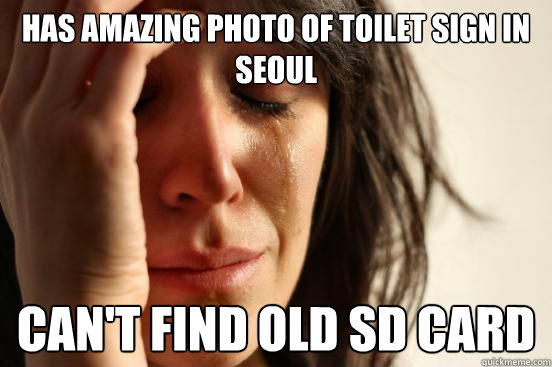 Has amazing photo of toilet sign in Seoul  Can't find old SD card  First World Problems