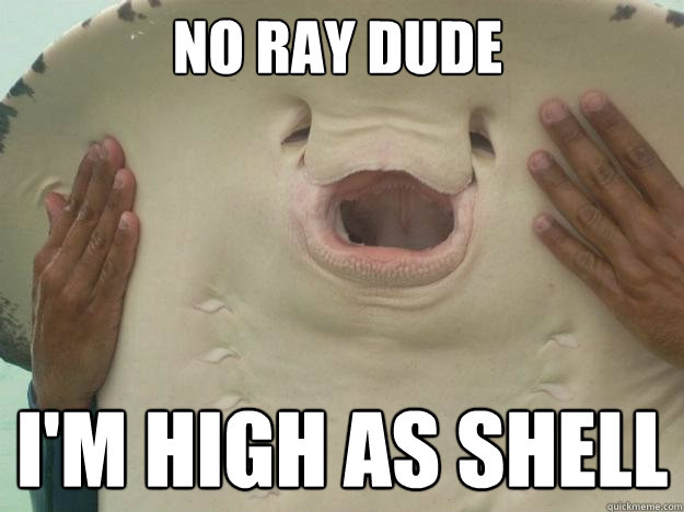 No Ray dude i'm high as shell  