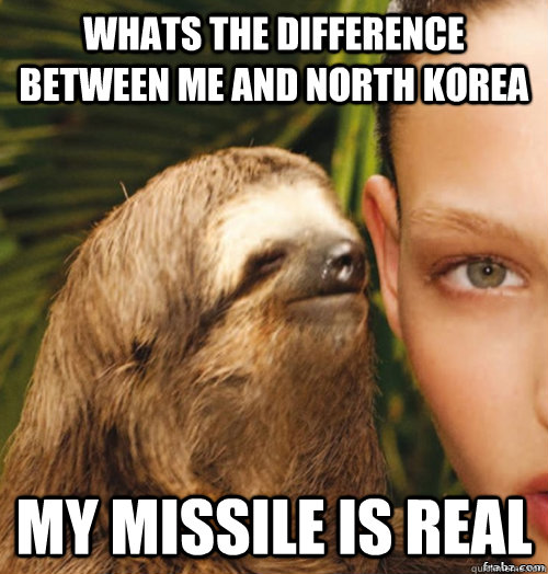 whats the difference between me and north korea  my missile is real   rape sloth