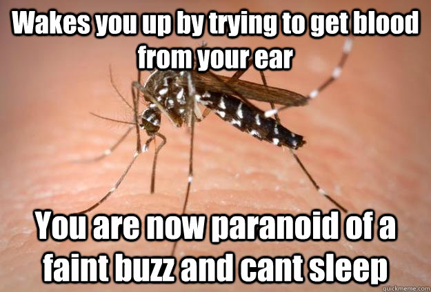 Wakes you up by trying to get blood from your ear You are now paranoid of a faint buzz and cant sleep - Wakes you up by trying to get blood from your ear You are now paranoid of a faint buzz and cant sleep  Master Troll Mosquito