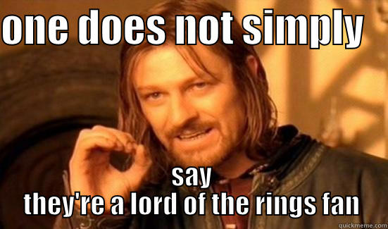 ONE DOES NOT SIMPLY    SAY THEY'RE A LORD OF THE RINGS FAN Boromir