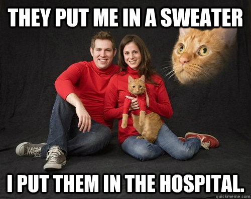 they put me in a sweater  I put them in the hospital.  - they put me in a sweater  I put them in the hospital.   Evil Cat