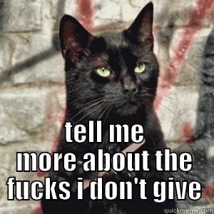 TELL ME MORE ABOUT THE FUCKS I DON'T GIVE Misc