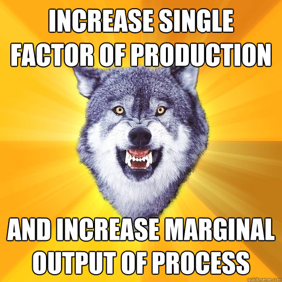increase single factor of production and increase marginal output of process  Courage Wolf