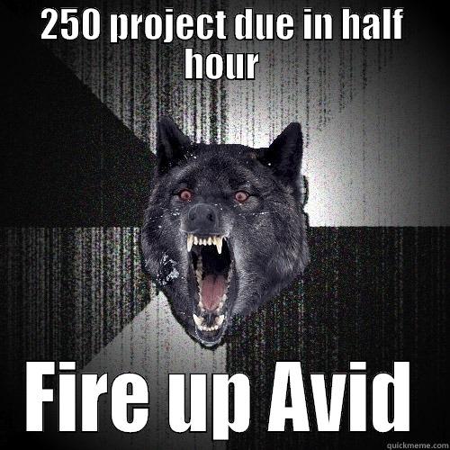 250 PROJECT DUE IN HALF HOUR FIRE UP AVID Insanity Wolf
