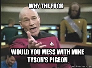 why the fuck would you mess with mike tyson's pigeon  Annoyed Picard