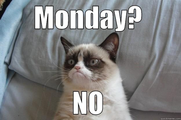 MONDAY? NO Grumpy Cat