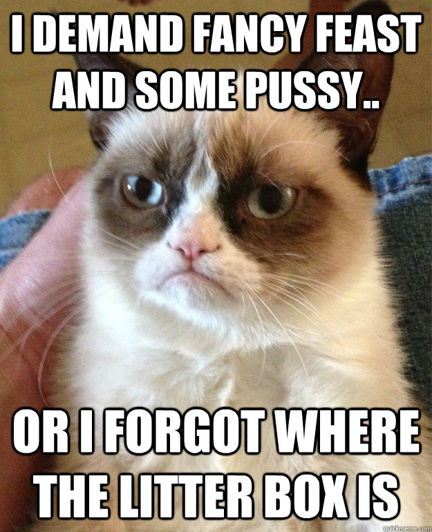 I demand fancy feast and some pussy.. or I forgot where the litter box is  Grumpy Cat