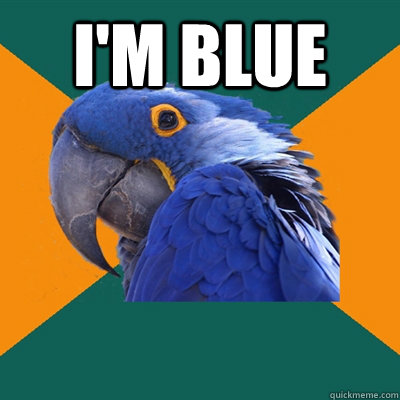I'm blue  Paranoid Parrot