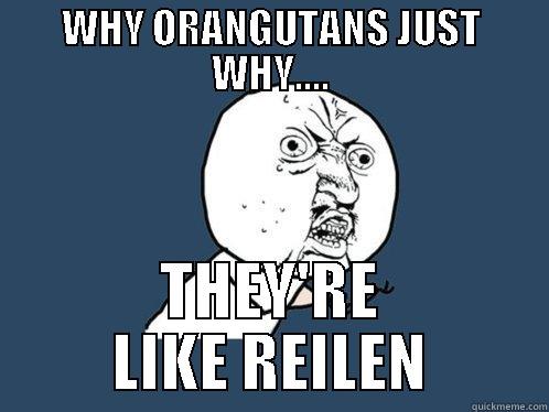 WHY ORANGUTANS JUST WHY.... THEY'RE LIKE REILEN Y U No