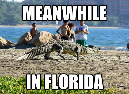 MEANWHILE IN FLORIDA - MEANWHILE IN FLORIDA  Meanwhile in Florida