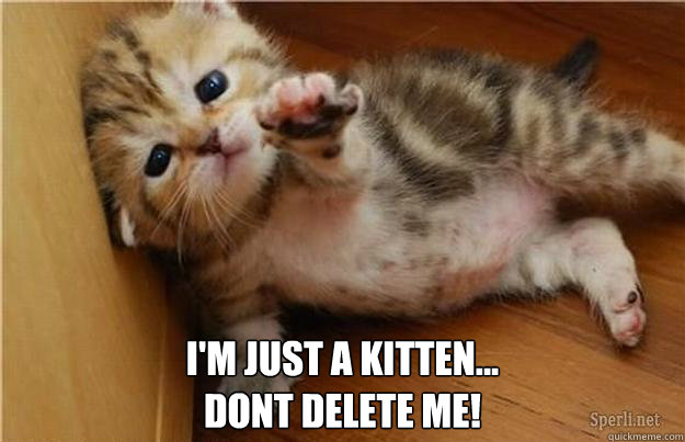  I'm just a kitten...
dont delete me!  Halp me kitten