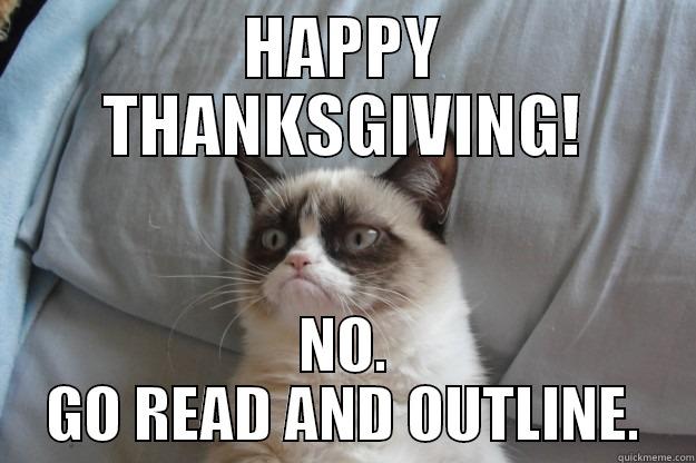 Law School Problems - HAPPY THANKSGIVING! NO. GO READ AND OUTLINE. Grumpy Cat