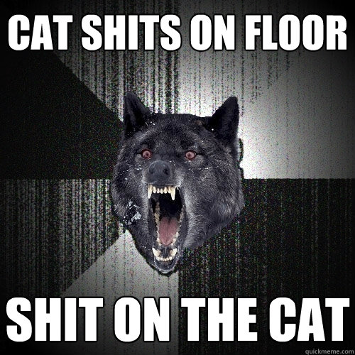 Cat shits on floor shit on the cat  Insanity Wolf